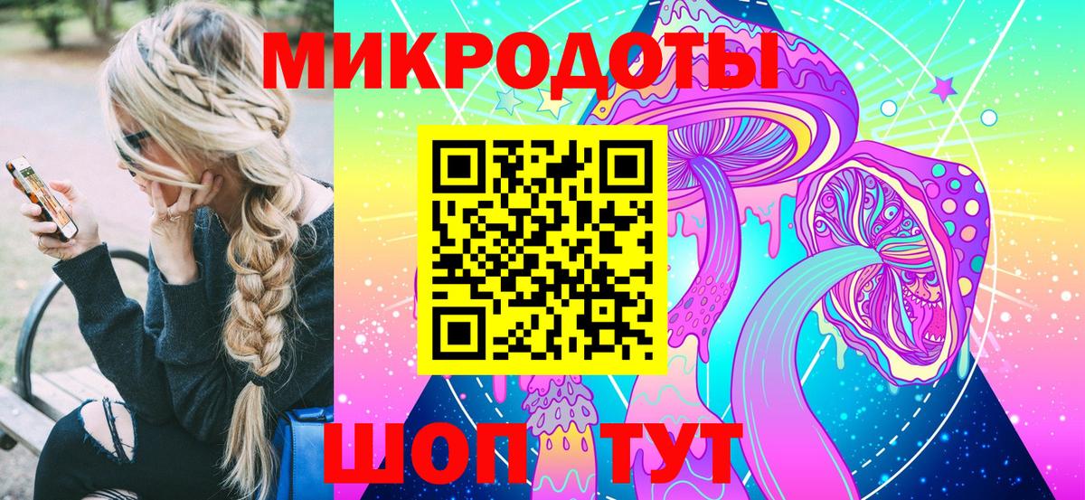Галлюциногенные грибы Psilocybe Светлоград