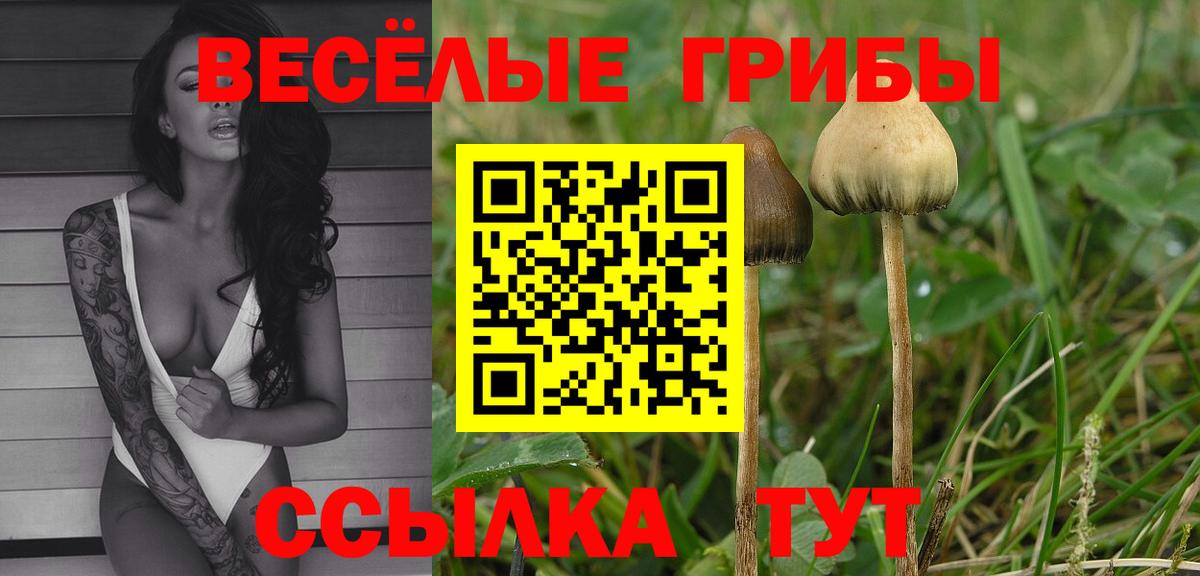Галлюциногенные грибы MAGIC MUSHROOMS  где найти наркотики  Светлоград  Вход с VPN 
