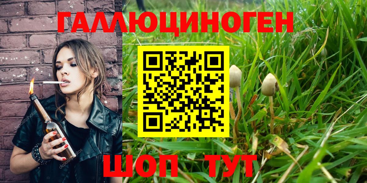 Cocaine Светлоград